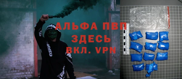 гидра Няндома