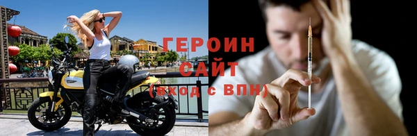гидра Няндома