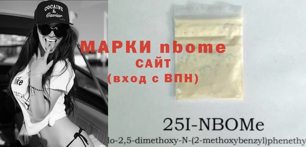 гидра Няндома