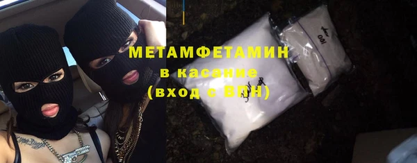 сатива Новодвинск