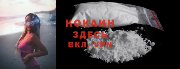 гидра Няндома