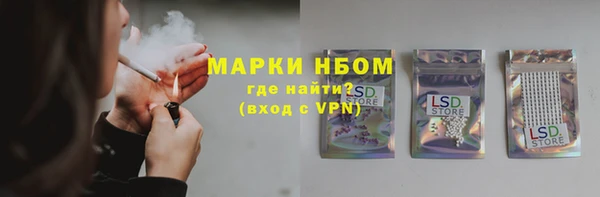 гидра Няндома