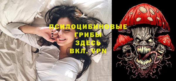 стаф Кондопога