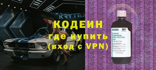 гидра Няндома