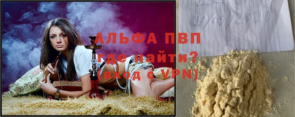 гидра Няндома
