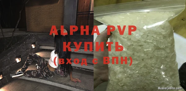 гидра Няндома