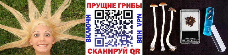 blacksprut сайт  магазин продажи наркотиков  Лысьва  Галлюциногенные грибы Cubensis 