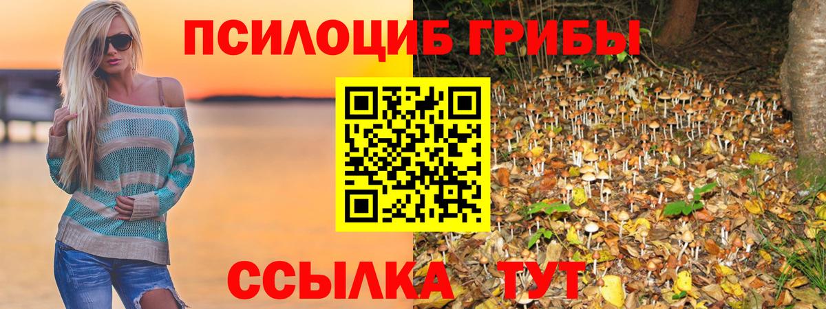 Псилоцибиновые грибы Magic Shrooms Лысьва