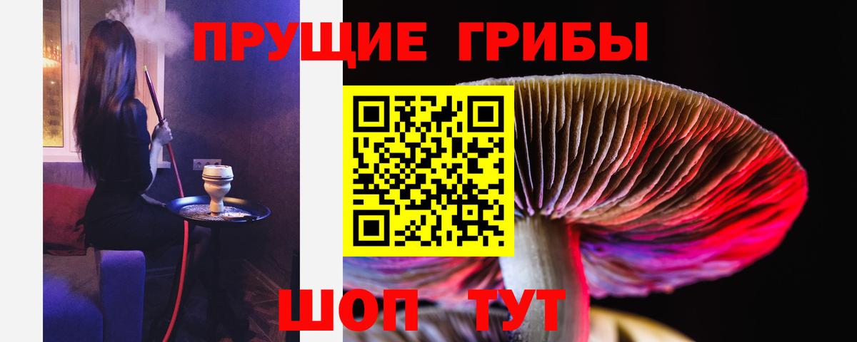 Галлюциногенные грибы MAGIC MUSHROOMS  Вход с VPN  Лысьва 